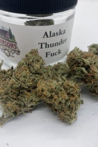Alaskan Thunder Fucks