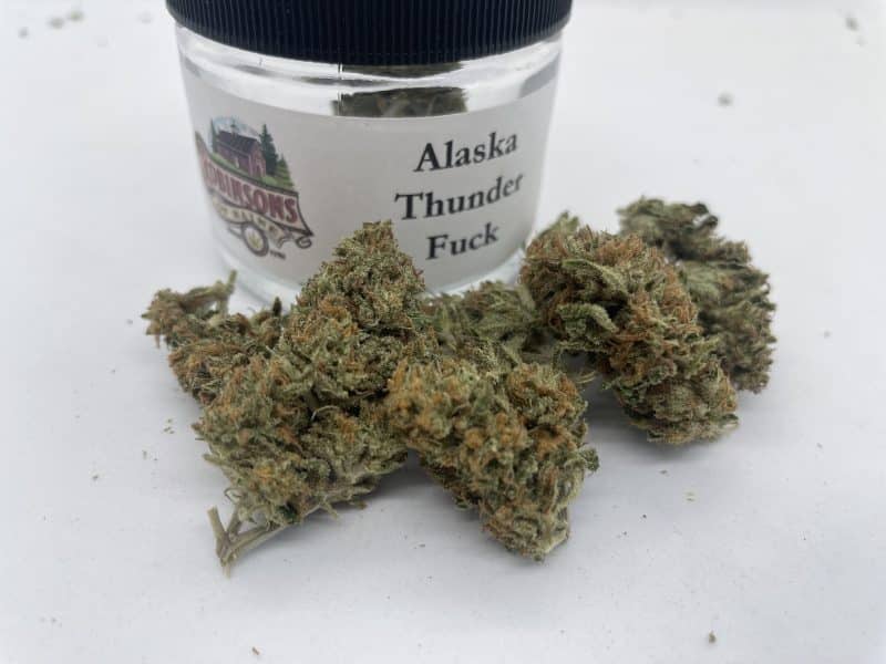 Alaskan Thunder Fucks