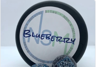 NSM's Blueberry Bites