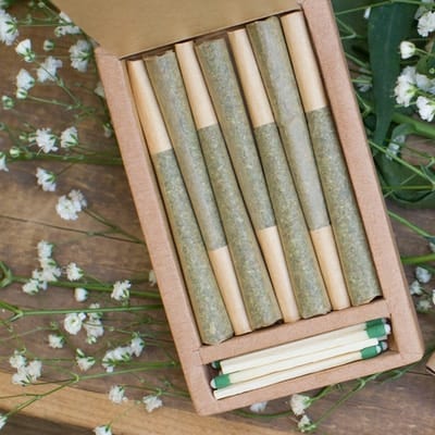 The Solice Indica Preroll 7 Pack